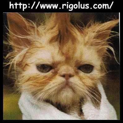 olala !!  toi tu as fait encore la nouba!   lol